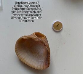 how to turn shells into pendants, Shell and pin