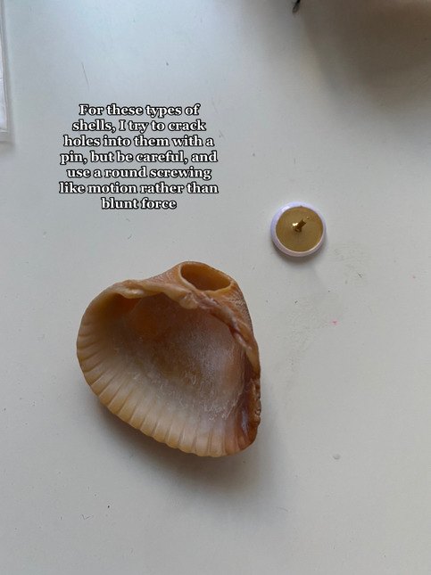 How to Turn Shells Into Pendants | Upstyle