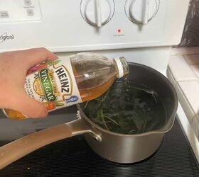 She boils vinegar with a common weed most people pull out