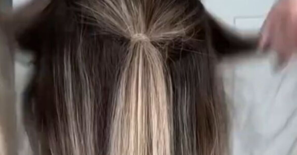 Quick and Easy Half-up Braided Hairstyle Tutorial | Upstyle