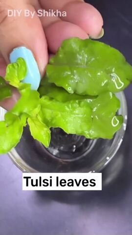 my grandma s secret for getting rid of a pimple overnight, Grinding up Tulsi leaves
