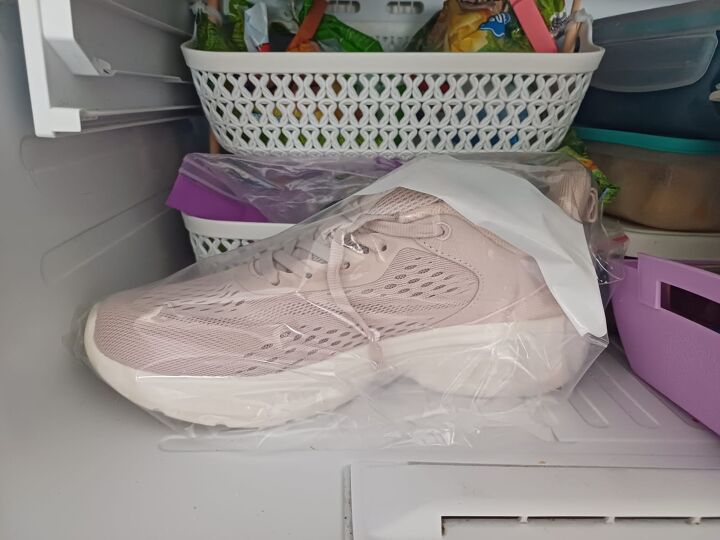 Sneaker in the freezer