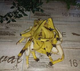 Banana peels on the counter
