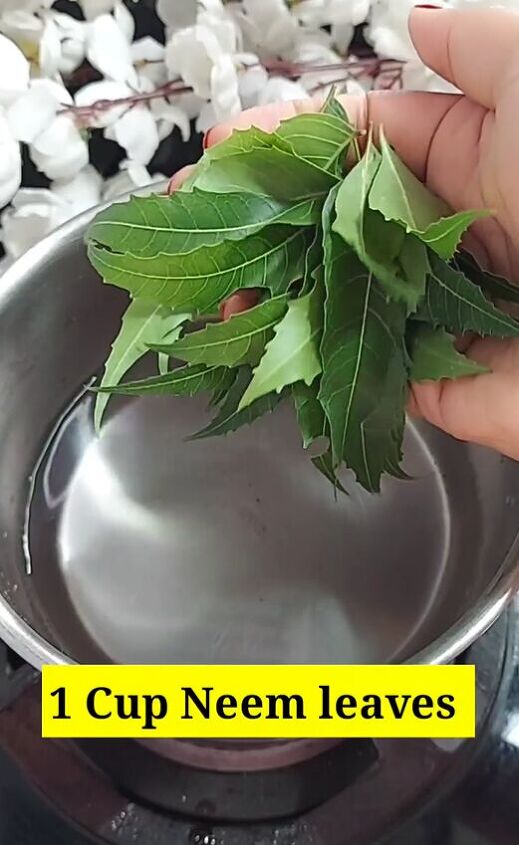 powerful diy serum to get rid of dandruff, Adding neem leaves