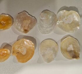 Can't stop, won't stop with the jingle shells this summer!