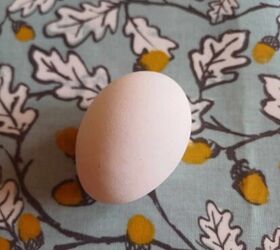 how to use an egg to naturally boost your eyebrow growth, Egg