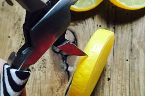 This is such a cute way to wear fruit this season