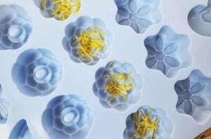 Use dandelion petals for THIS