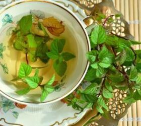 Pour peppermint tea over your hair for a shiny, healthy boost