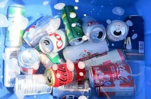 She grabbed her empty soda cans out of the recycling bin for this clever upcycle idea