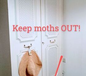 keep your silk wool safe keep the moths out of your closet