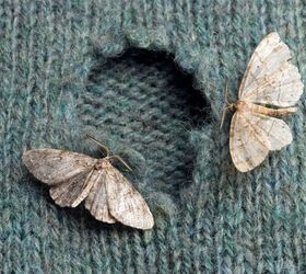 keep your silk wool safe keep the moths out of your closet