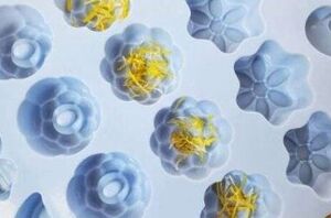 She places dandelion petals into a silicon mold for this totally unexpected gift idea