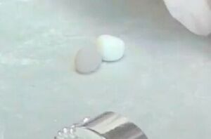 We still can't believe how expensive she made these 2 little balls of clay look