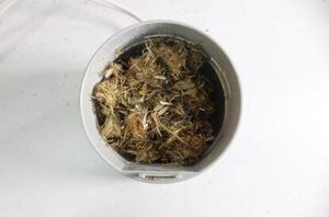 Tight after a long day? This simple soak helps you unwind fast